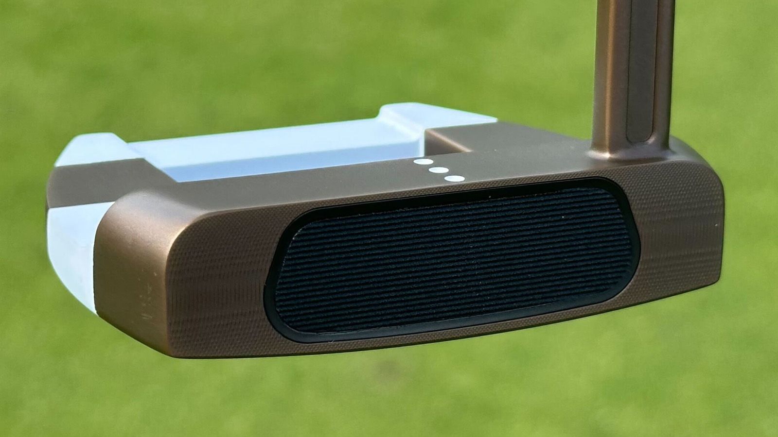 The Giraffe Beam Jailbird Mini Putter