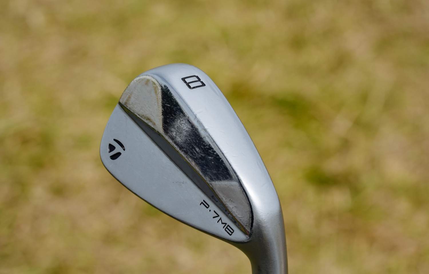 Charley Hull Irons