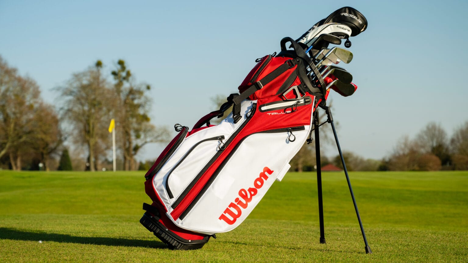 Review of the Wilson Talus 14 Stand Bag