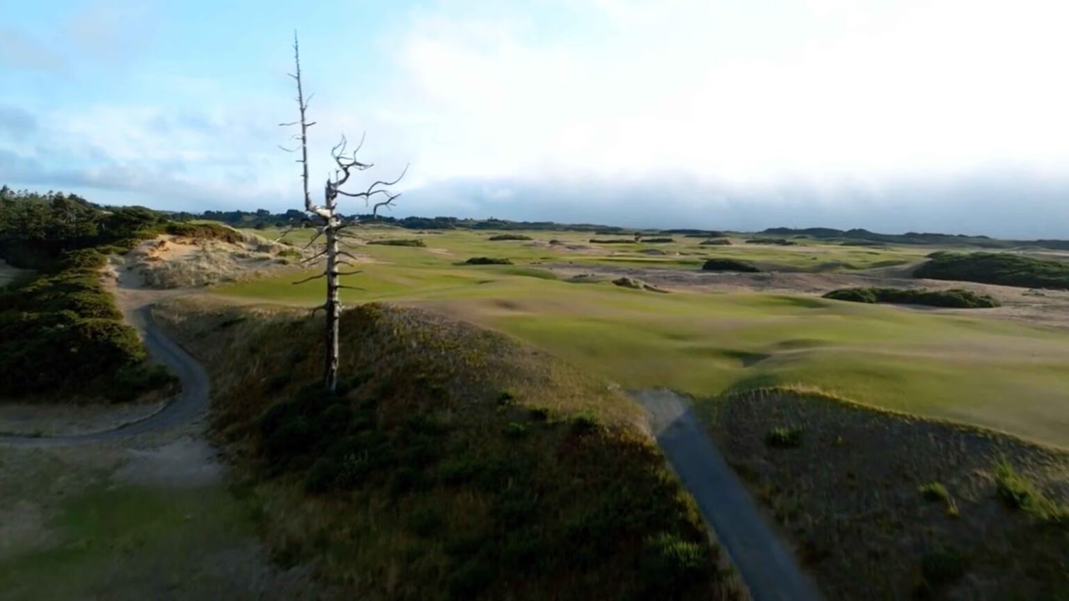 This Bandon Dunes Par-4 Features a Renowned Tree and Much More