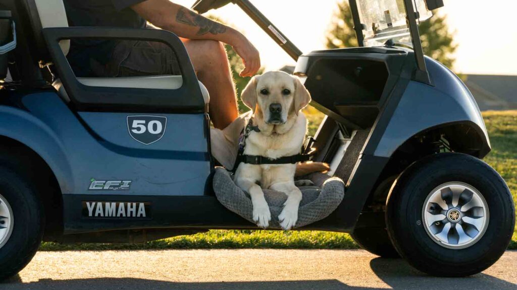 A Golf Course Marshal’s Last Moments: The Touch of His Beloved Friend