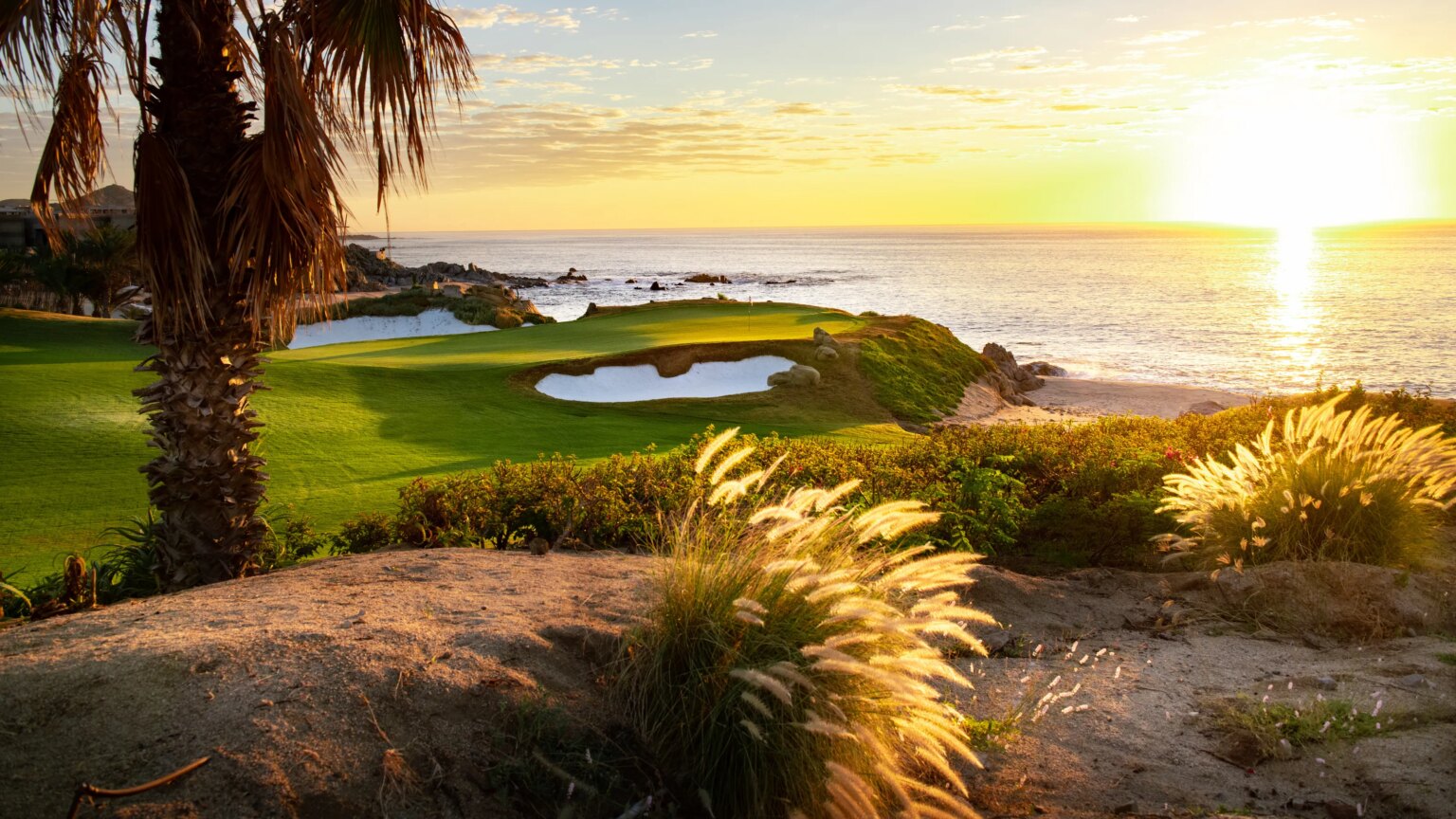 Experience Golf at Your Own Pace at Cove Club, Diamante in Cabo San Lucas