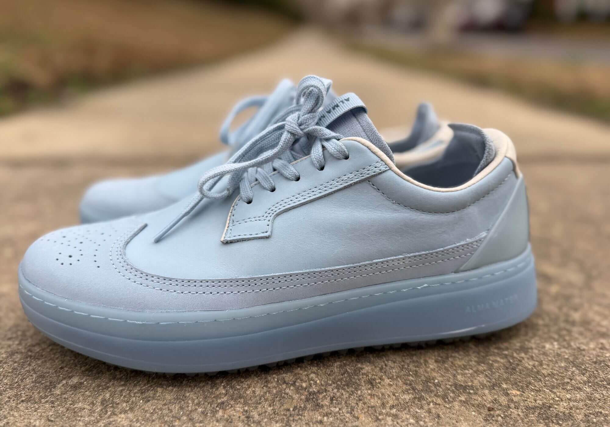 Alma Mater Beta Longwing