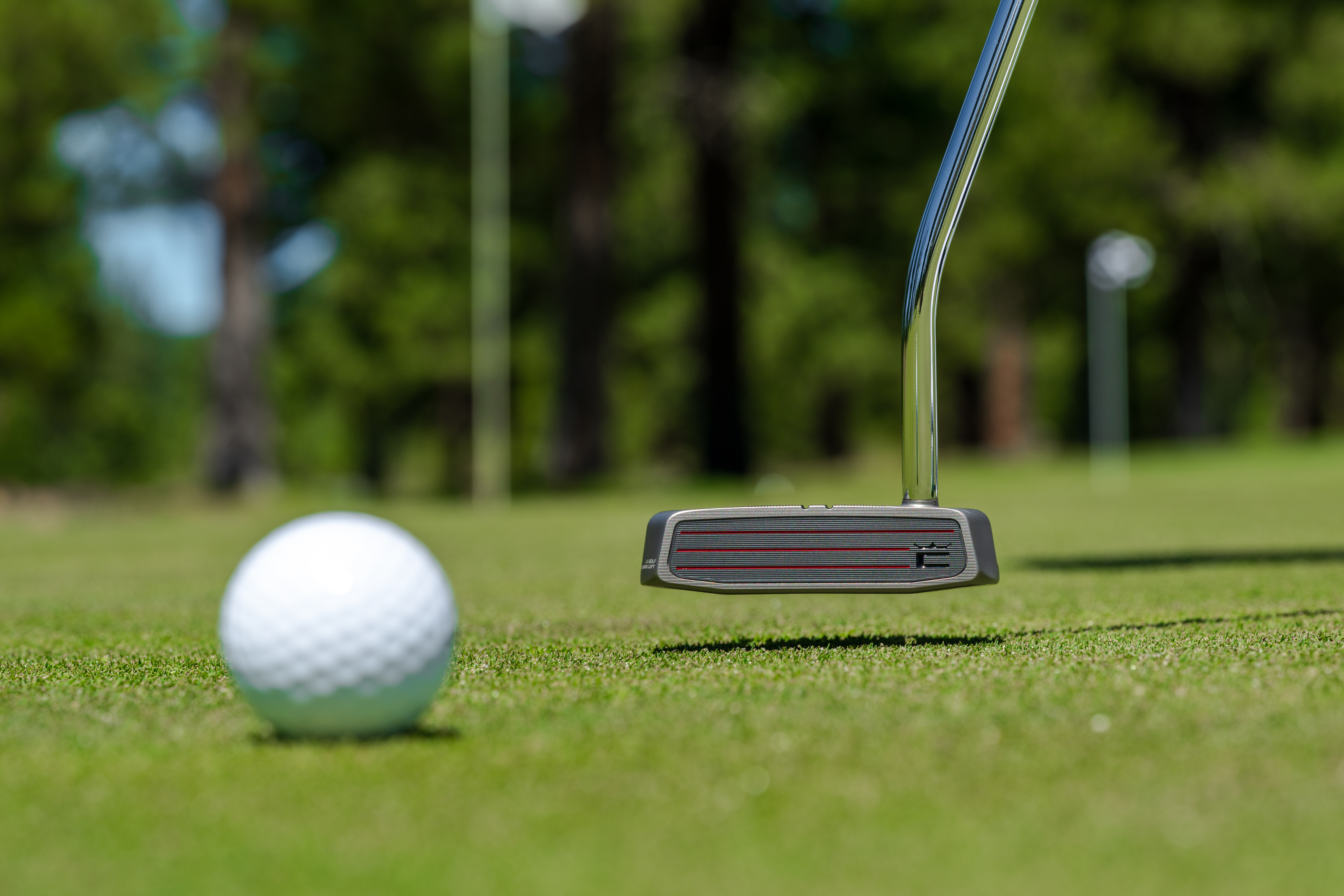 MIM Putter with Pebax Face Insert