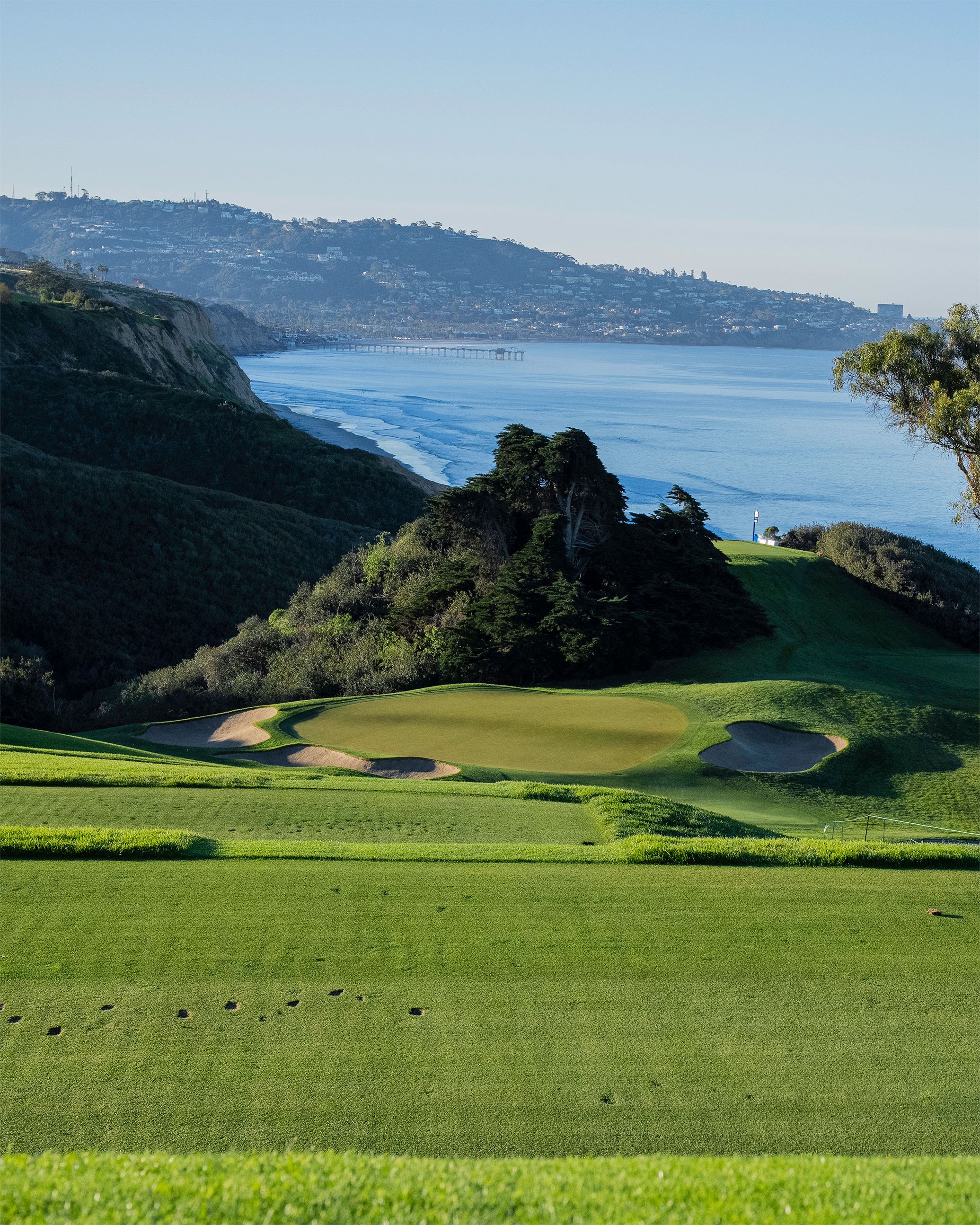 Torrey Pines