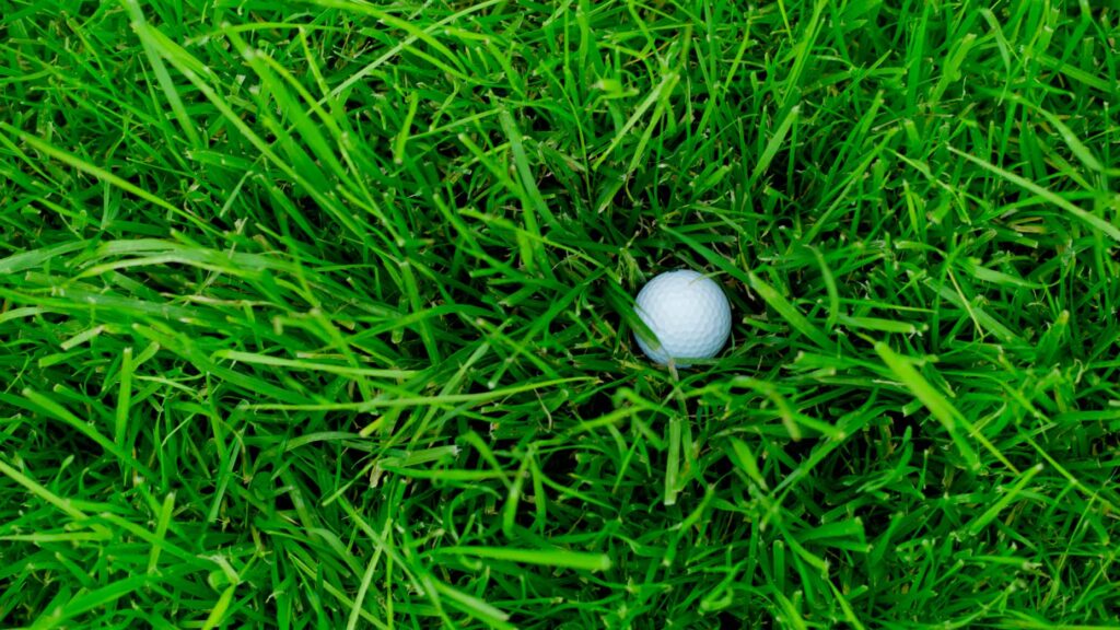 Judging Your Lie in the Rough: Insights from a Short-Game Expert