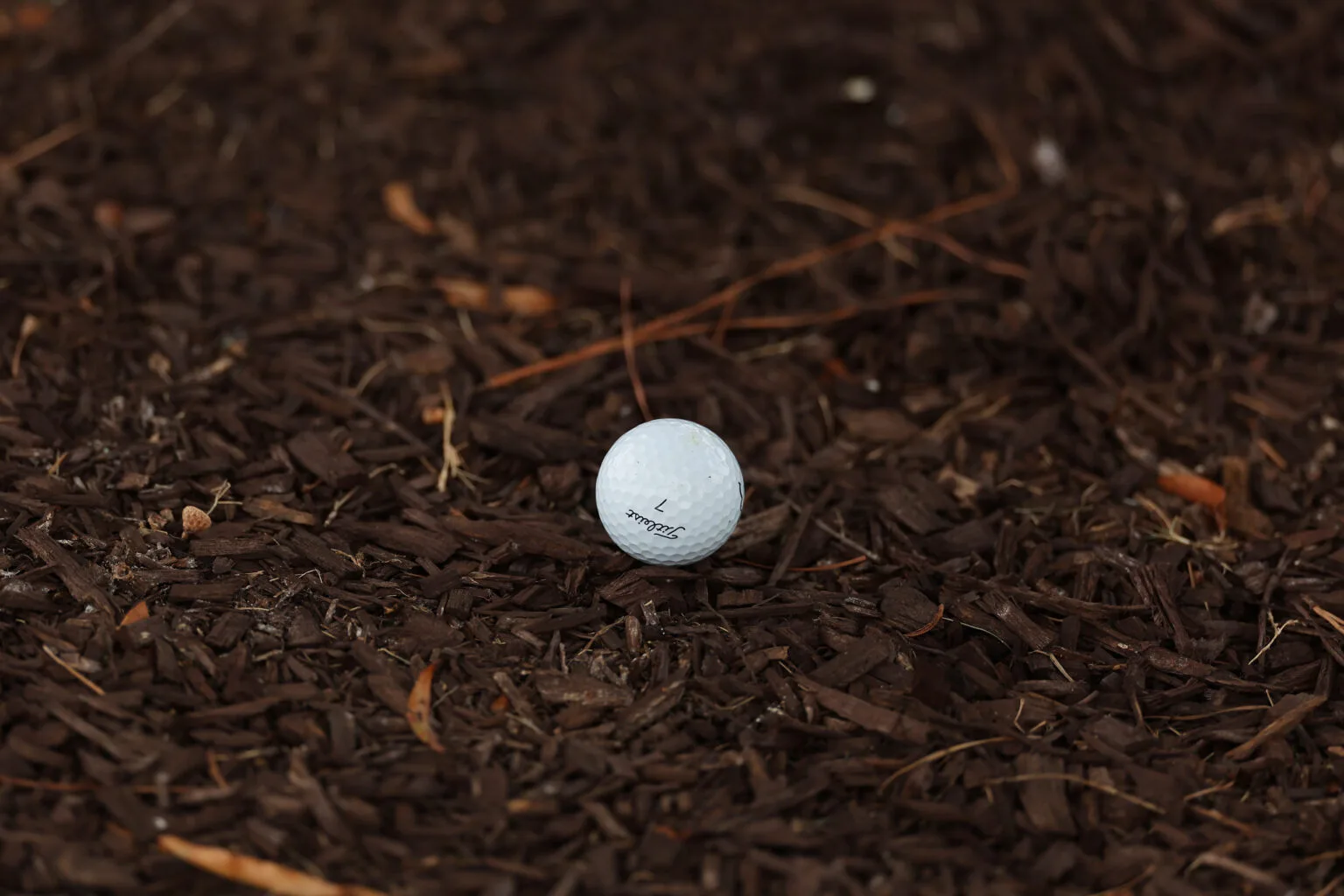 Scottie’s High Numbers Keep Him Out of the Rough