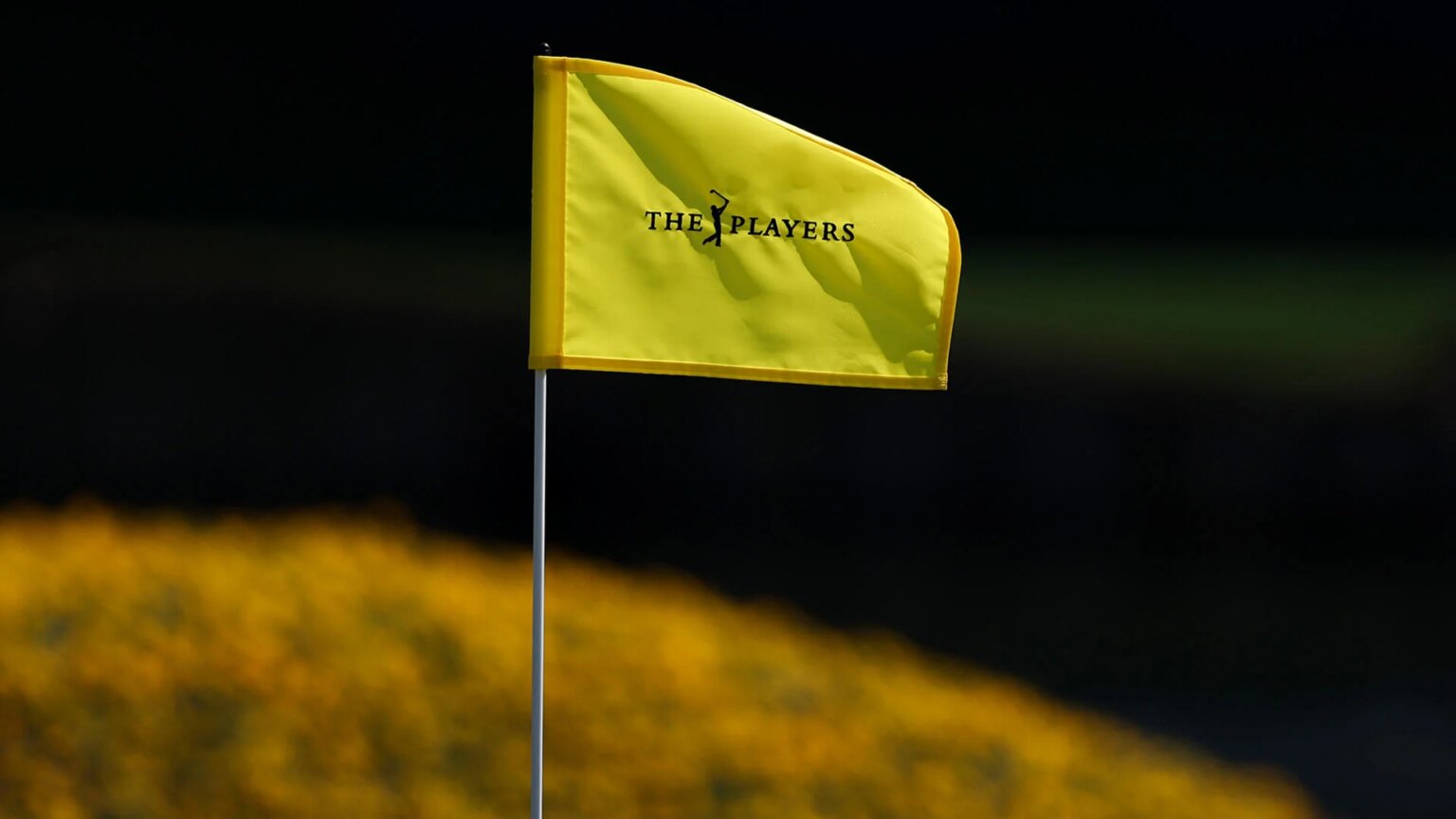 Players Championship Wide Open: Scheffler and McIlroy Scrambling